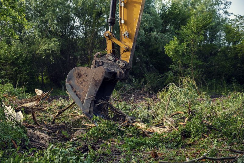 Increase Your Shrub Trimming Business with an AI Driven, Targeted Website