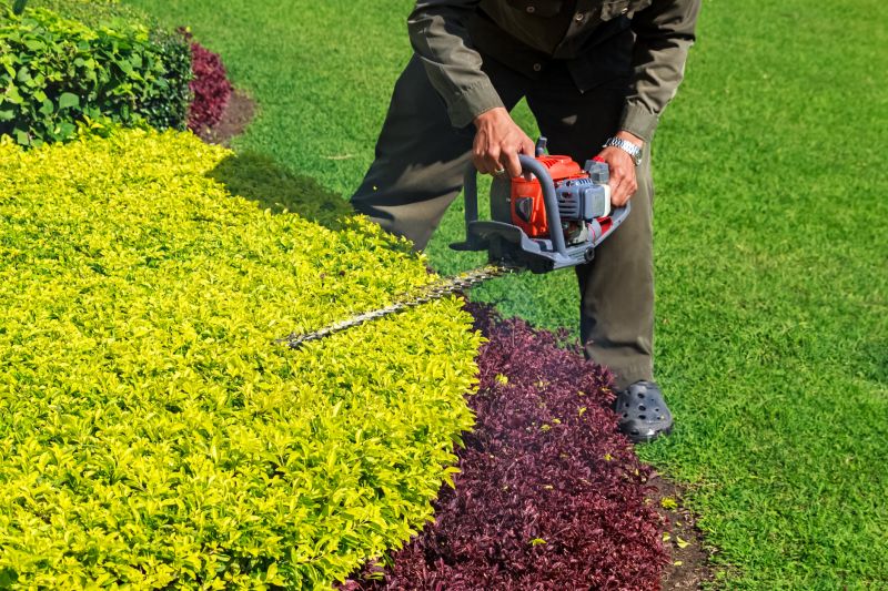 Landscape Pruning Service