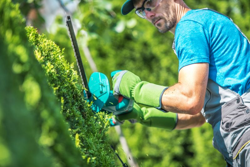 Trimming a Large Hedge