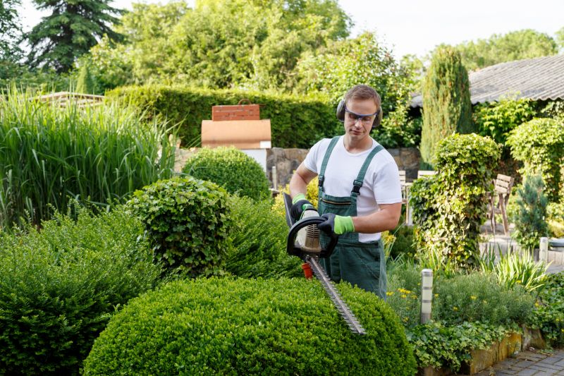 Spring Shrub Trimming