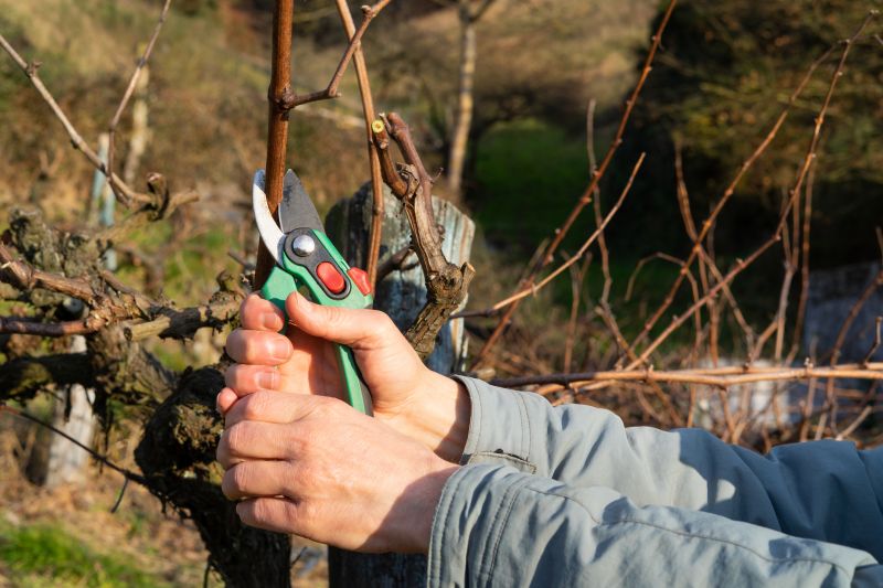 Proper Pruning Technique