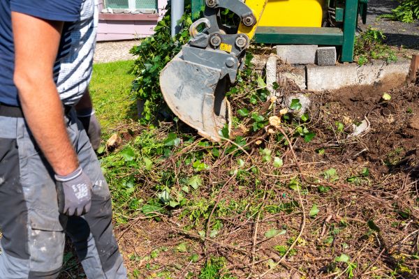 Hedge Removal Service in Clovis
