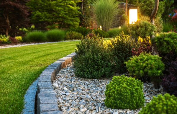 Cost of Bush Relocation in Clovis