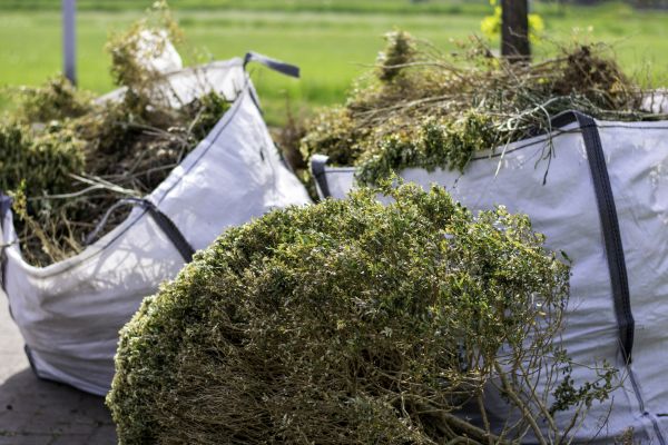 Shrubs Removal in Clovis